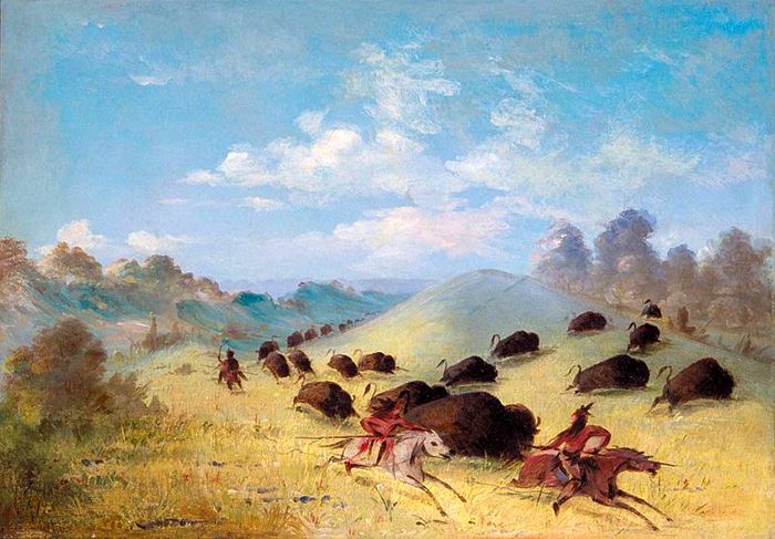 Comanche Hunting Buffalo by George Catlin