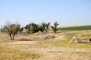 Grant County landscape near the Santa Fe Trail by Kathy Weiser-Alexander.