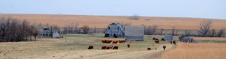 Old Rush County Homestead near Timkin, Kansas by Kathy Weiser-Alexander.
