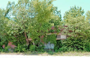 Once a prospering business, this abandoned building can barely be seen behind the trees and vines, by Kathy Weiser-Alexander.