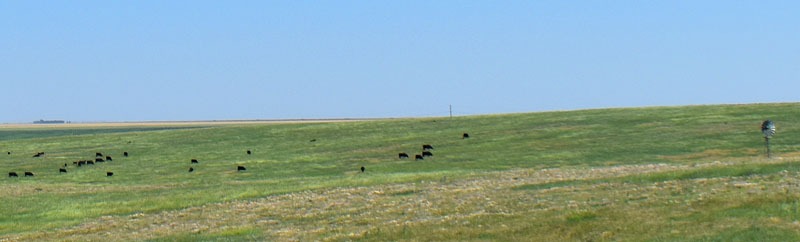 Thomas County, Kansas Ranch near Levant by Kathy Alexander.