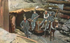 Mules and horses were utilized to pull the coal out of the mines.