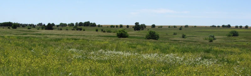 Lost Spring, Kansas Stage Station Site by the National Park Service.