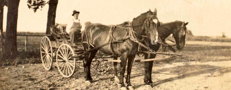 Horse drawn wagon in Jefferson County, Kansas about 1900.