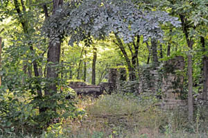 Ruins in Clements, Kansas by Kathy Alexander.