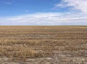 Greeley County, Kansas is arid.