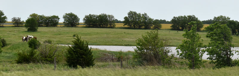 Dickinson County Landscape near Navarre, Kansas by Kathy Alexander.
