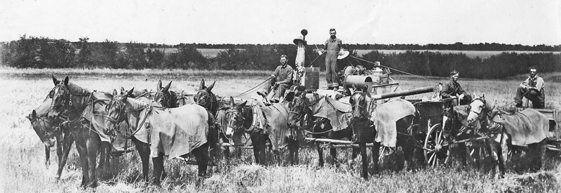 Harvey County, Kansas Harvest about 1900.