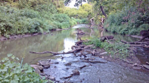 Chapmans Creek in Clay County, Kansas.