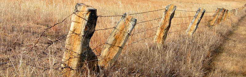 Post Rock Fence in Lincoln County, Kansas by Kathy Alexander.