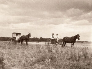Horses and buggies in Marion County, abt 1900.
