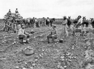 Junius George Groves – Potato King Of The World – Legends Of Kansas