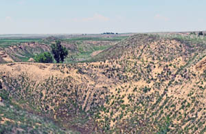 The Cimarron Riverbed near Satanta, Kansas, is dry.