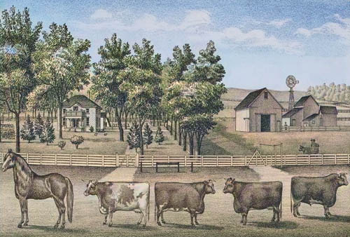 V.R. Ellis Stock Farm in Gardner, Kansas, 1874.