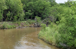 Ninnescah River in Kingman County, Kansas by Kathy Alexander.