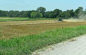 Sumner County farming today by Kathy Alexander.