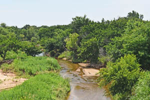 Bluff Creek in Harper County, Kansas by Kathy Alexander.