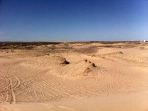 Hamilton County, Kansas Sand Dunes.