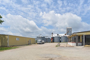 Ames, Kansas Grain Company by Kathy Alexander.