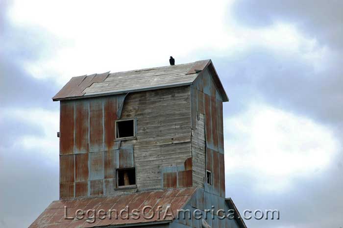 A crow on top of abandoned grain elevator in Crystal Springs, Ks. 