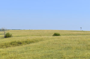 Mahaska, Kansas area landscape by Kathy Alexander.