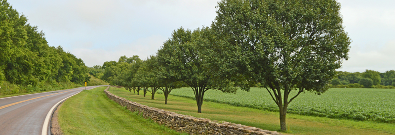 Rock fence on the Flint Hills Scenic Byway near Matfield, Green, Kansas.