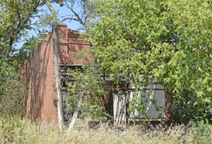 An overgrown business building in Lovewell, Kansas by Kathy Alexander.