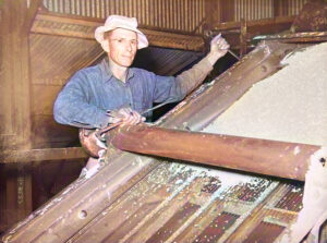 Processing the volcanic ash in Calvert, Kansas.