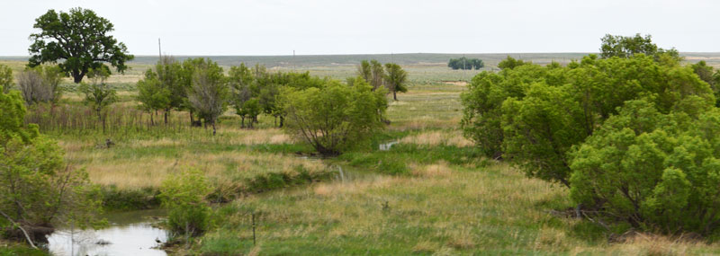 Gove County, Kansas Landscape by Kathy Alexander.