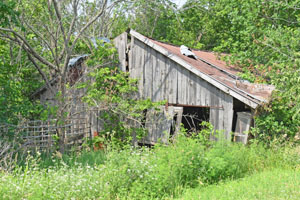 An old barn in Rose, Kansas by Kathy Alexander.