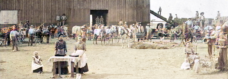 Harvesting in Woodson County, Kansas, about 1900. 