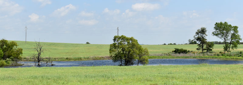 Woodson County Landscape.