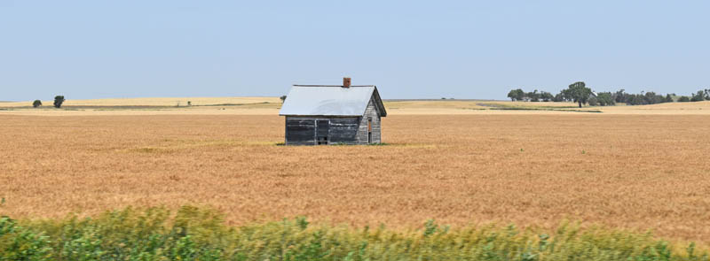 High Plains in Barton County, Kansas by Kathy Alexander.