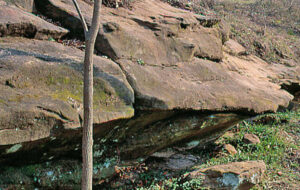 Chautauqua Hills sandstone in Sedan, Kansas, courtesy of Kansas Geological Survey.