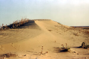 Sand dunes in Kearny County, Kansas, courtesy of Kansas Geological Survey.