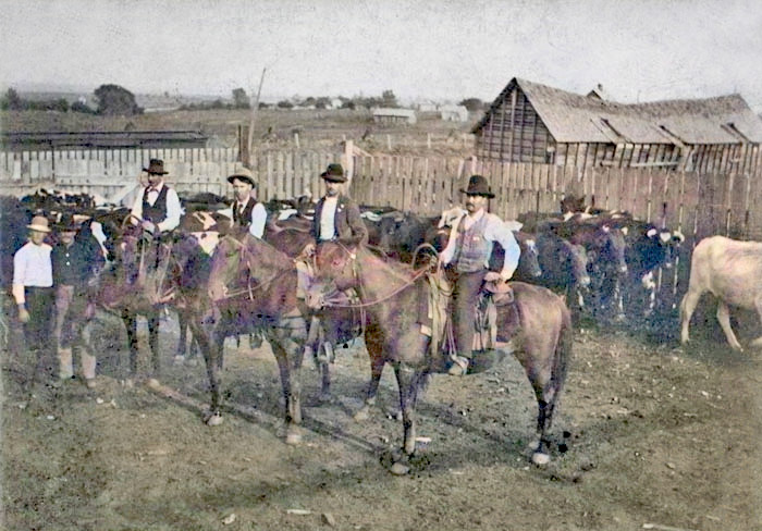Eskridge, Kansas Stock Yard, 1880s.