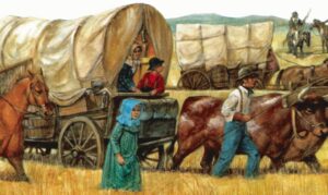 Wagon Train.