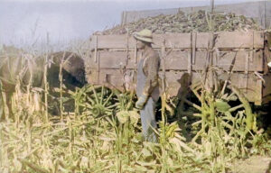 Cullison, Kansas Farmer.