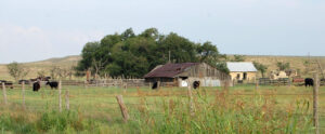 An old Homestead near Lakin, Kansas by Kathy Alexander.