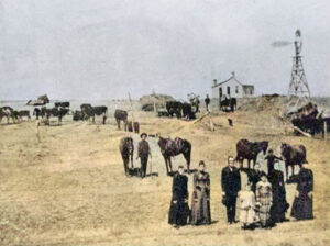 Old Pratt County, Kansas Homestead.