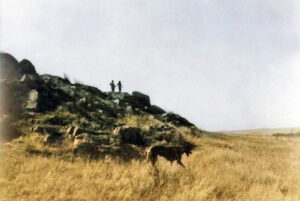 Hundred Head Draw in Rawlins County, Kansas.