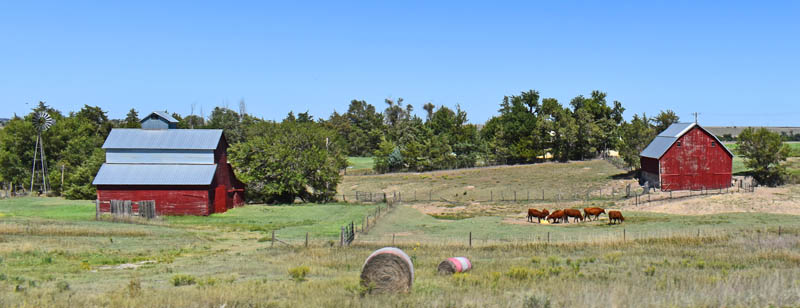 Rawlins County, Kansas Landscape by Kathy Alexander.