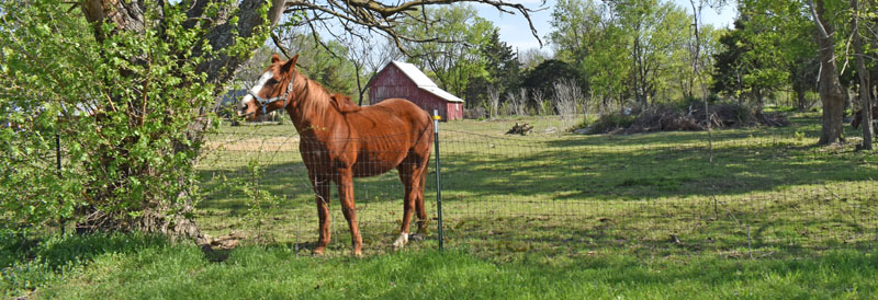 Valeda, Kansas by Kathy Alexander.