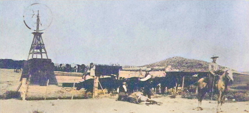 Branding cattle in Wichita County, Kansas. Branding cattle in Wichita County, Kansas.