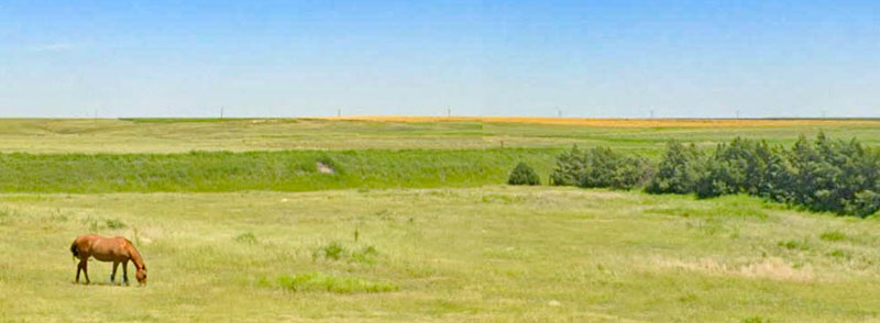 Wichita County Landscape, courtesy of Google Maps.