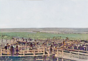 Shipping pens in Arkalon, Kansas.