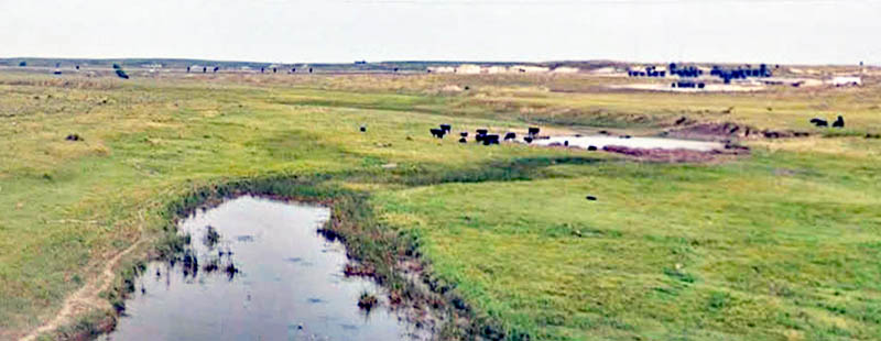 Ladder Creek in Logan County, Kansas, courtesy of Google Maps.