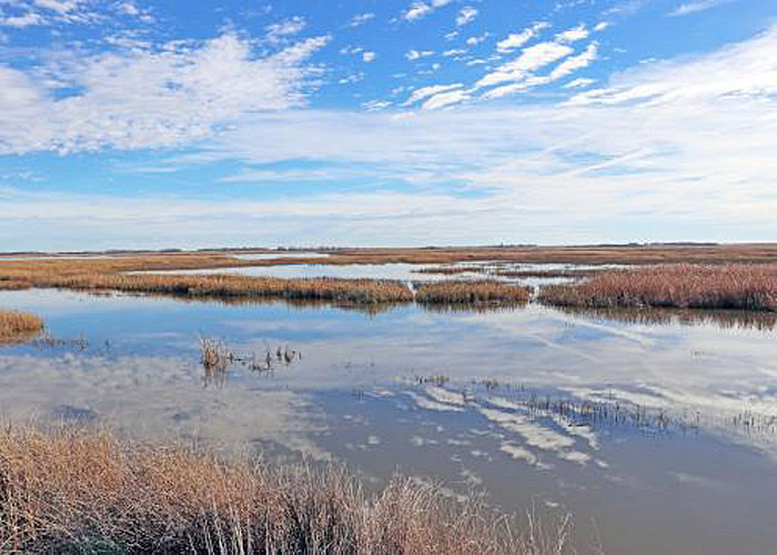 Cheyenne Bottoms in Barton County, Kansas, courtesy of the Kansas Geological Survey.