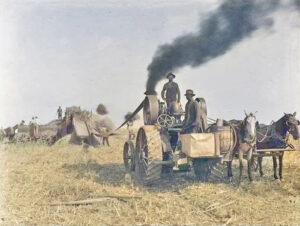 Threshing wheat in Haskell County, Kansas.