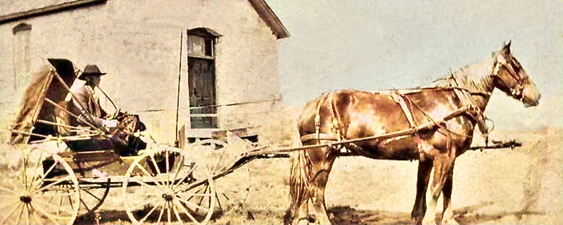 Phillips County, Kansas horse and wagon.